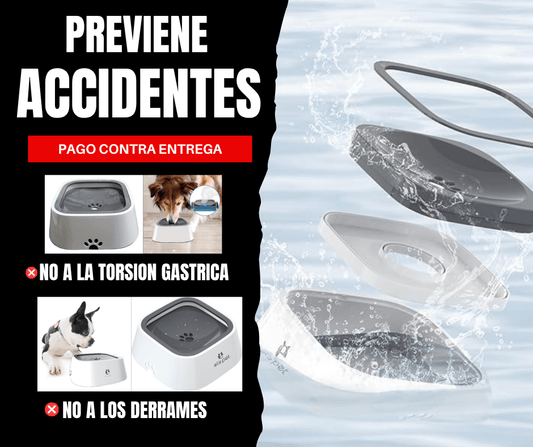 💧 HydroPup – Hidrata Sin Derrames, Cuida Sin Esfuerzo